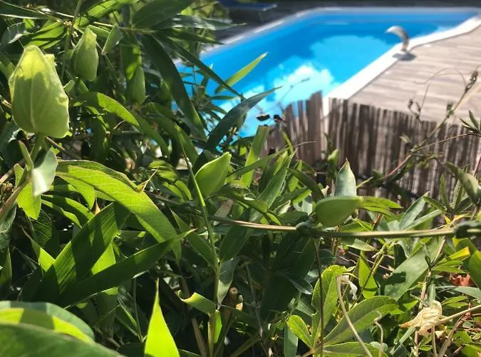 Hébergement de vacances Domusangela Matera