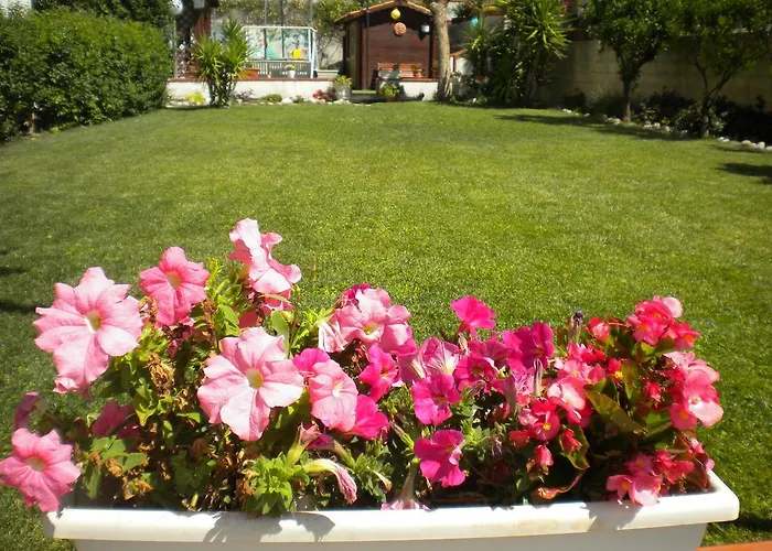 Domusangela بيت للعطل ماتيرا