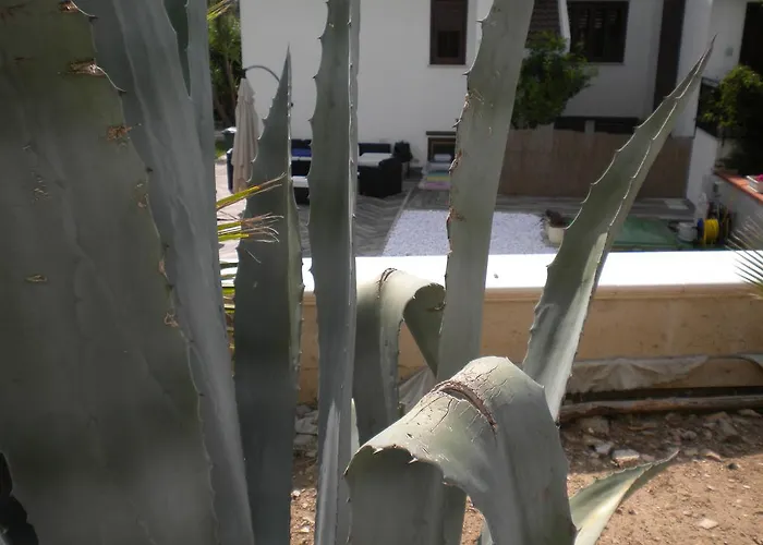 بيت للعطل Domusangela